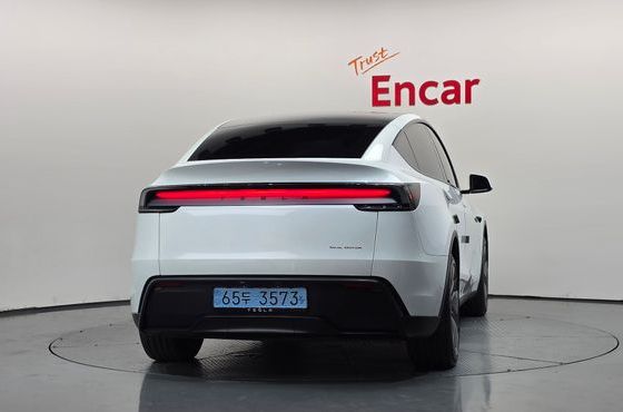 Tesla Model Y Long Range AWD — пробег 42 524 км — фото 4 из 5