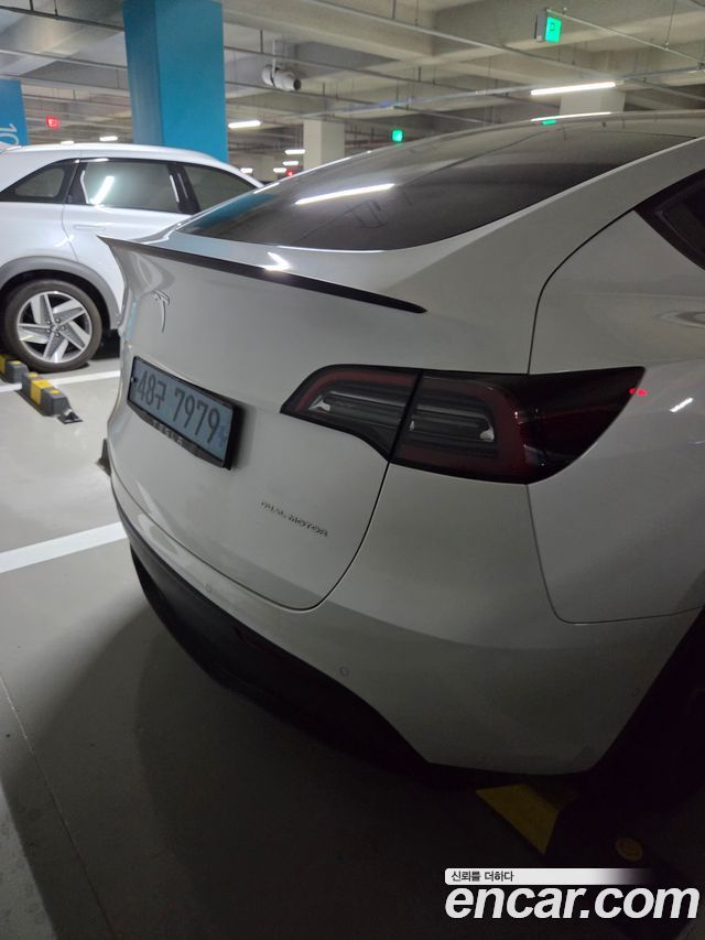 Tesla Model Y из Кореи Encar