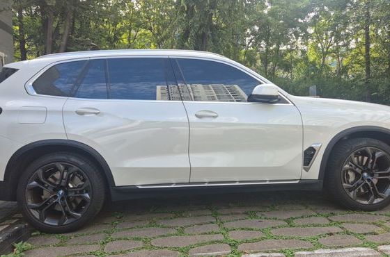 BMW X5 xDrive 50e xLine — пробег 33 980 км — фото 4 из 5
