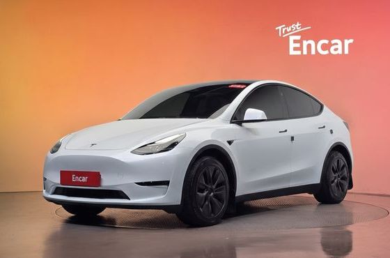 Tesla Model Y Long Range AWD — пробег 35 567 км — фото 1 из 5