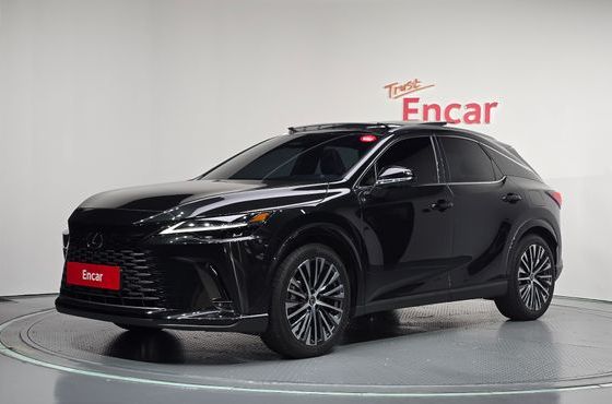 Lexus RX Luxury — пробег 31 160 км — фото 1 из 5