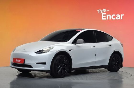 Tesla Model Y RWD — пробег 35 569 км — фото 1 из 5