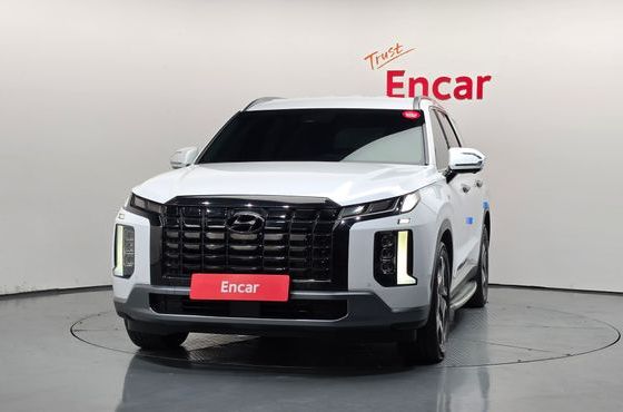 Hyundai Palisade Diesel 2.2 4WD Le Blanc — пробег 111 600 км — фото 3 из 5