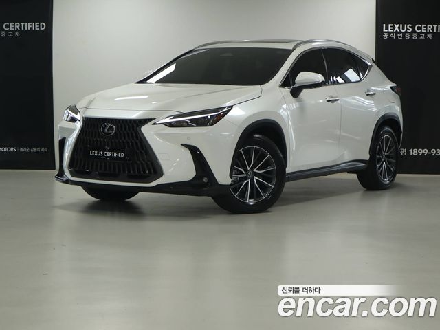 Lexus NX Premium — пробег 11 841 км — фото 1 из 5