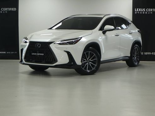Lexus NX Premium — пробег 11 841 км — фото 1 из 5