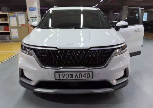 Kia Carnival Diesel 9-Seater Prestige — пробег 213 800 км — фото 1 из 5