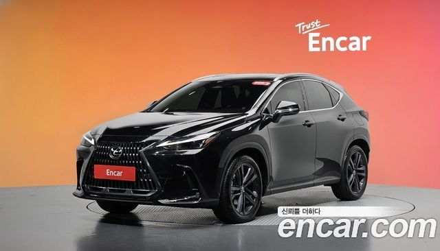 Lexus NX Premium — пробег 24 054 км — фото 1 из 5