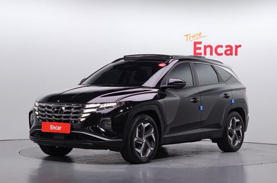 Hyundai Tucson Gasoline 1.6 Turbo 2WD Premium — пробег 45 217 км — фото 1 из 5