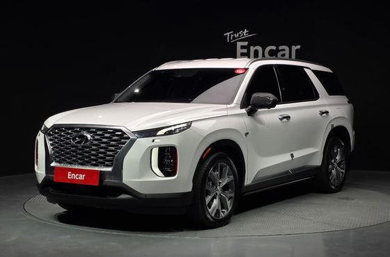 Hyundai Palisade Diesel 2.2 2WD Exclusive — пробег 49 148 км — фото 1 из 5