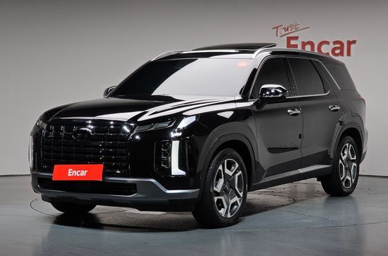 Hyundai Palisade Diesel 2.2 2WD Prestige — пробег 112 299 км — фото 1 из 5