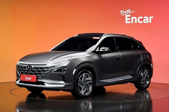 Hyundai Nexo Premium — пробег 92 127 км — фото 1 из 5