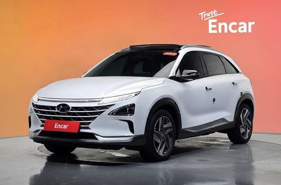 Hyundai Nexo Premium — пробег 45 774 км — фото 1 из 5