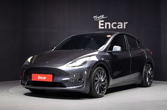 Tesla Model Y Performance AWD — пробег 47 059 км — фото 1 из 5
