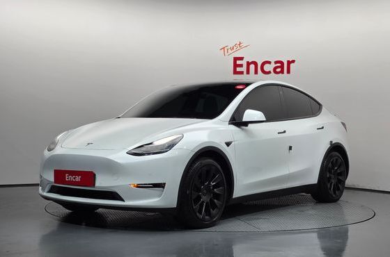 Tesla Model Y Long Range AWD — пробег 118 531 км — фото 1 из 5