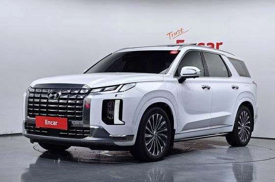 Hyundai Palisade Gasoline 3.8 4WD Calligraphy — пробег 28 921 км — фото 1 из 5