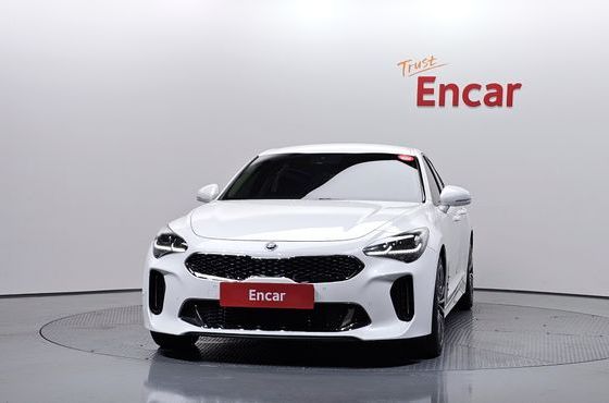 Kia Stinger 2.0 Turbo 2WD Platinum — пробег 61 820 км — фото 3 из 5