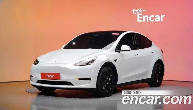 Tesla Model Y Long Range AWD — пробег 41 364 км — фото 1 из 5