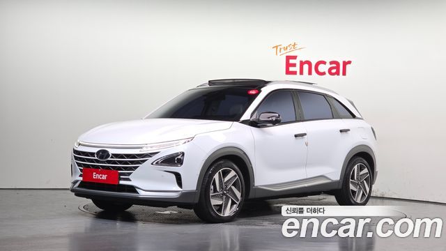 Hyundai Nexo Premium — пробег 42 101 км — фото 1 из 5