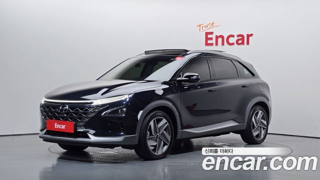 Hyundai Nexo Premium — пробег 146 625 км — фото 1 из 5