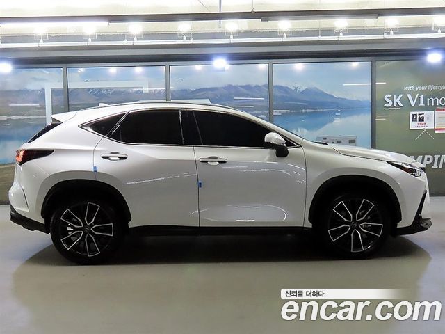 Lexus NX Luxury — пробег 13 239 км — фото 2 из 5