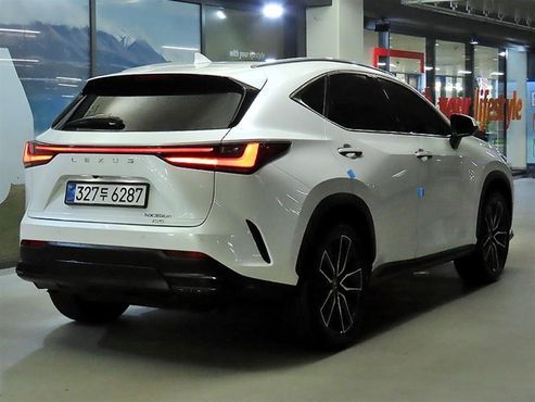 Lexus NX Luxury — пробег 13 239 км — фото 5 из 5