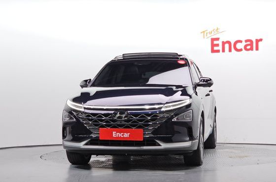 Hyundai Nexo Premium — пробег 53 573 км — фото 3 из 5