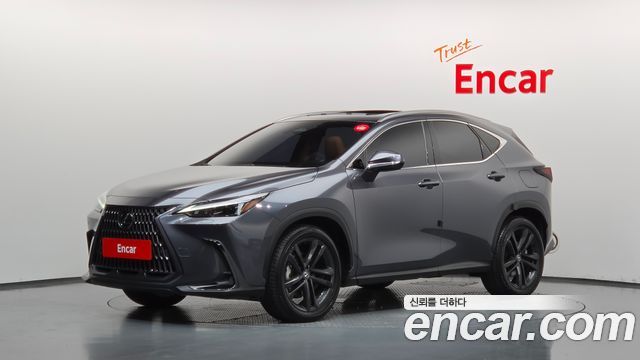 Lexus NX Premium — пробег 32 584 км — фото 1 из 5