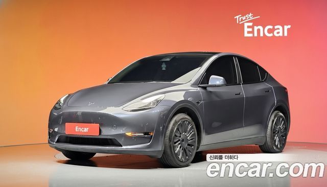 Tesla Model Y Long Range AWD — пробег 98 925 км — фото 1 из 5