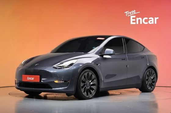 Tesla Model Y Performance AWD — пробег 127 940 км — фото 1 из 5