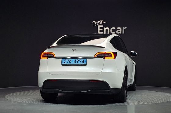 Tesla Model Y RWD — пробег 43 050 км — фото 4 из 5