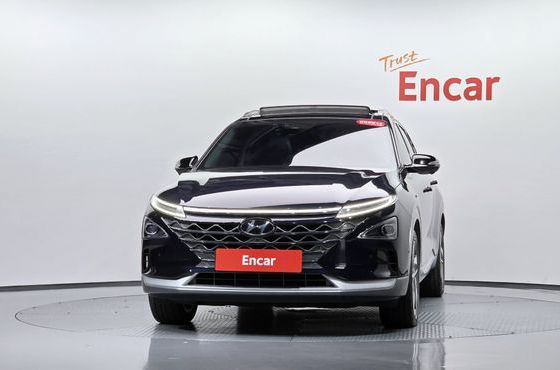 Hyundai Nexo Premium — пробег 69 489 км — фото 3 из 5