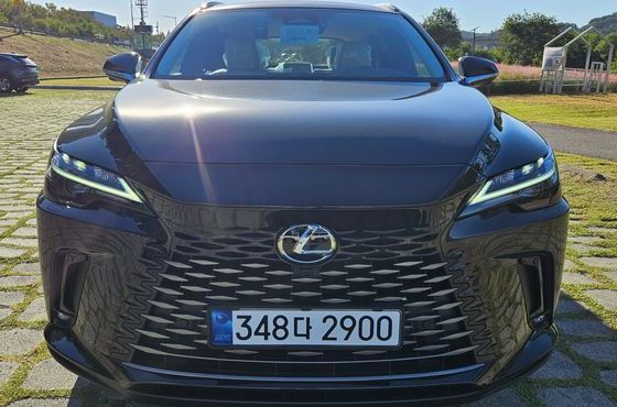 Lexus RX Premium — пробег 3 км — фото 1 из 5