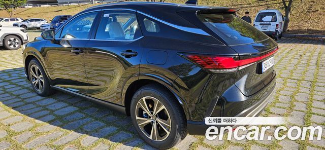 Lexus RX Premium — пробег 3 км — фото 4 из 5