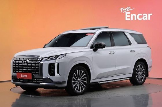 Hyundai Palisade Gasoline 3.8 4WD Calligraphy — пробег 25 182 км — фото 1 из 5