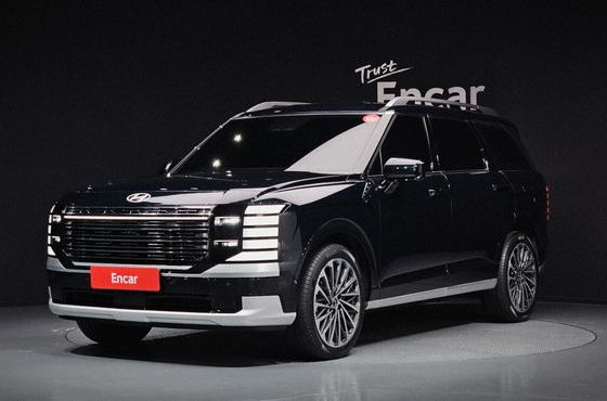 Hyundai Palisade Gasoline 2.5T 4WD 7-Seater Calligraphy — пробег 20 213 км — фото 1 из 5