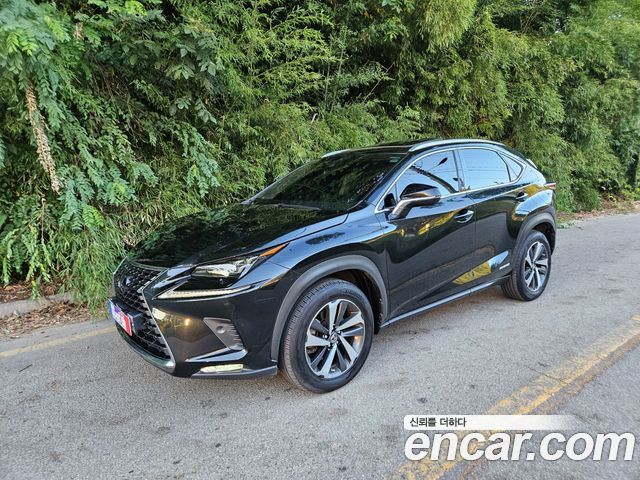 Lexus NX Supreme — пробег 137 200 км — фото 1 из 5