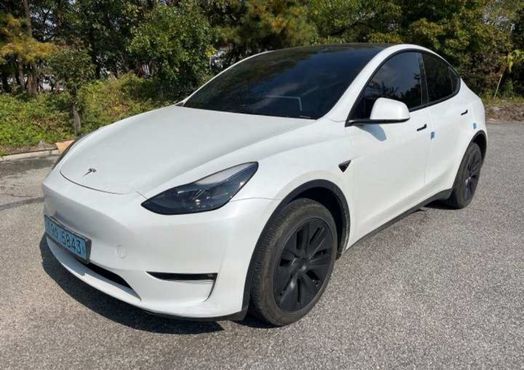 Tesla Model Y Long Range AWD — пробег 45 267 км — фото 2 из 5