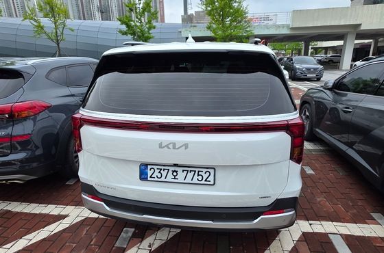 Kia Carnival HEV 9 seater Prestige — пробег 10 000 км — фото 4 из 5