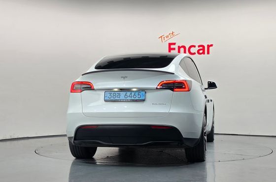 Tesla Model Y Long Range AWD — пробег 50 543 км — фото 4 из 5