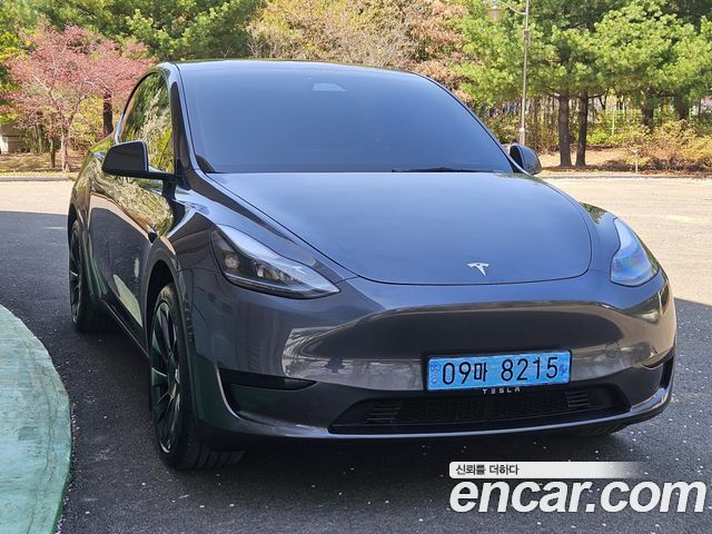 Tesla Model Y из Кореи Encar
