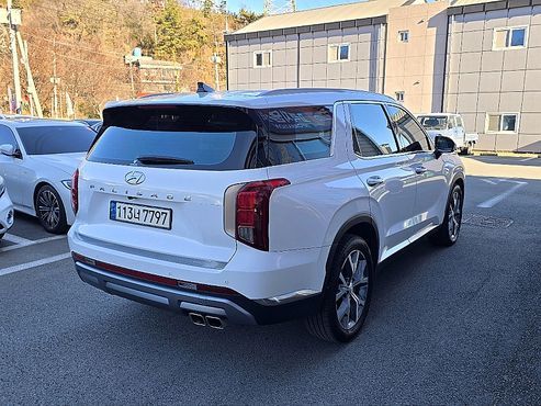 Hyundai Palisade Diesel 2.2 2WD Exclusive — пробег 63 000 км — фото 4 из 5