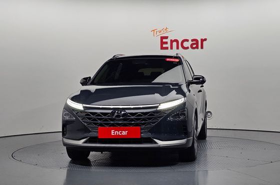 Hyundai Nexo Premium — пробег 104 300 км — фото 3 из 5