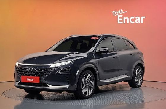 Hyundai Nexo Premium — пробег 104 300 км — фото 1 из 5