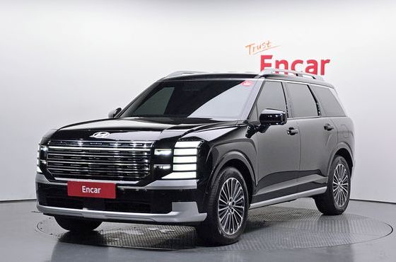 Hyundai Palisade Gasoline 2.5T 4WD 9-Seater Calligraphy — пробег 18 781 км — фото 1 из 5