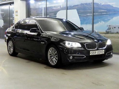 BMW 5-Series 520d Luxury Plus — пробег 175 333 км — фото 1 из 5