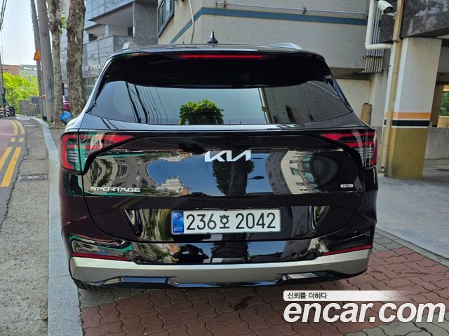 Kia Sportage HEV 1.6 2WD Noblesse — пробег 700 км — фото 4 из 5