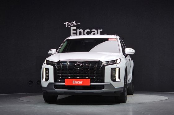 Hyundai Palisade Diesel 2.2 2WD Prestige — пробег 50 798 км — фото 3 из 5