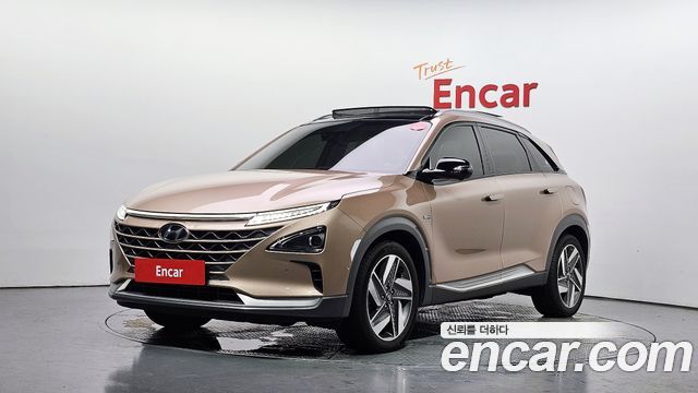 Hyundai Nexo Premium — пробег 88 737 км — фото 1 из 5