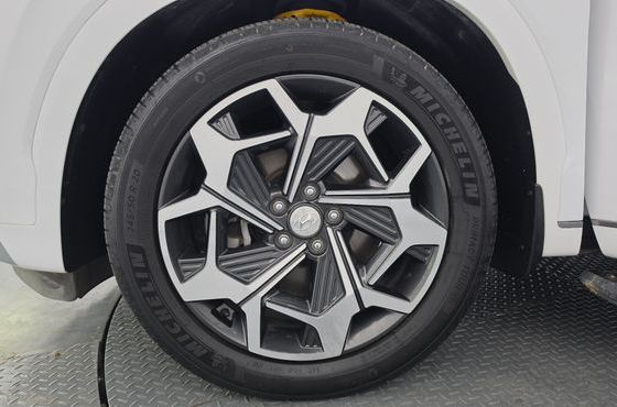 Hyundai Palisade Gasoline 3.8 4WD VIP — пробег 46 526 км — фото 5 из 5