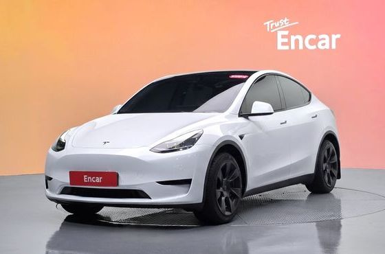 Tesla Model Y RWD — пробег 32 330 км — фото 1 из 5